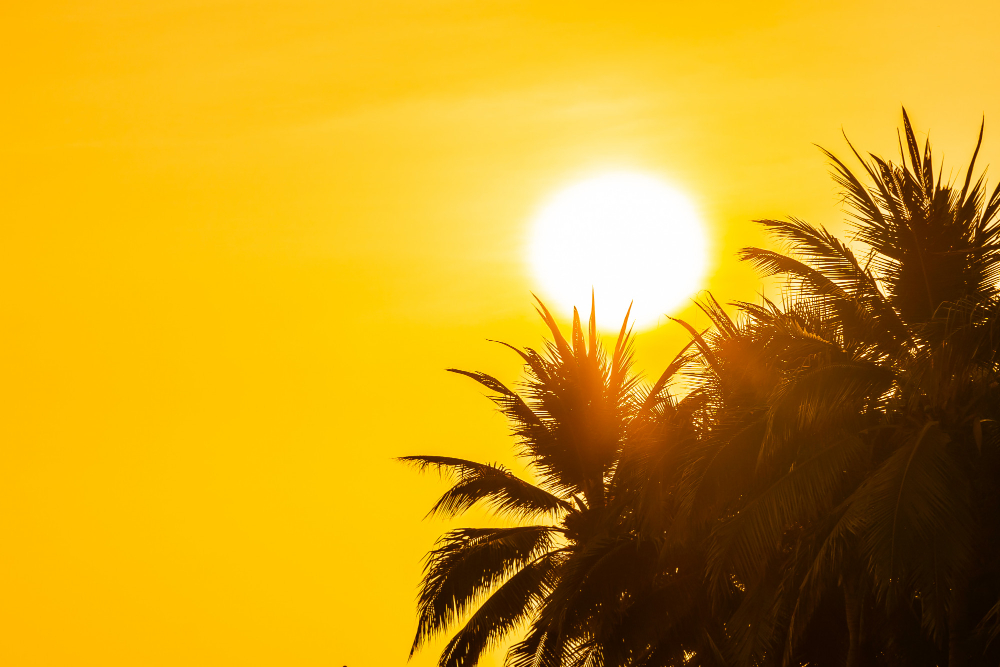 Inaugurata un’Oasi di refrigerio per combattere il caldo estivo