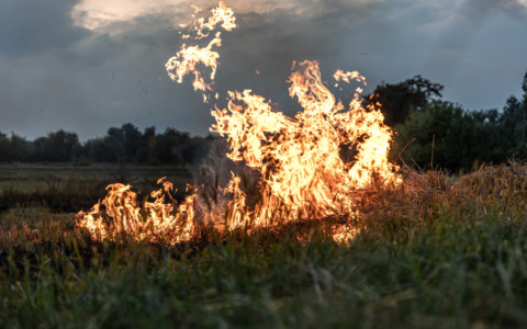 Testo fornito privo di informazioni sull’incendio