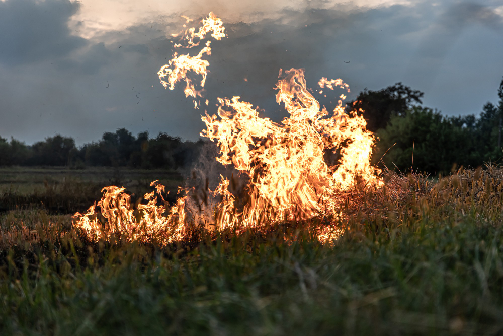 Testo fornito privo di informazioni sull’incendio