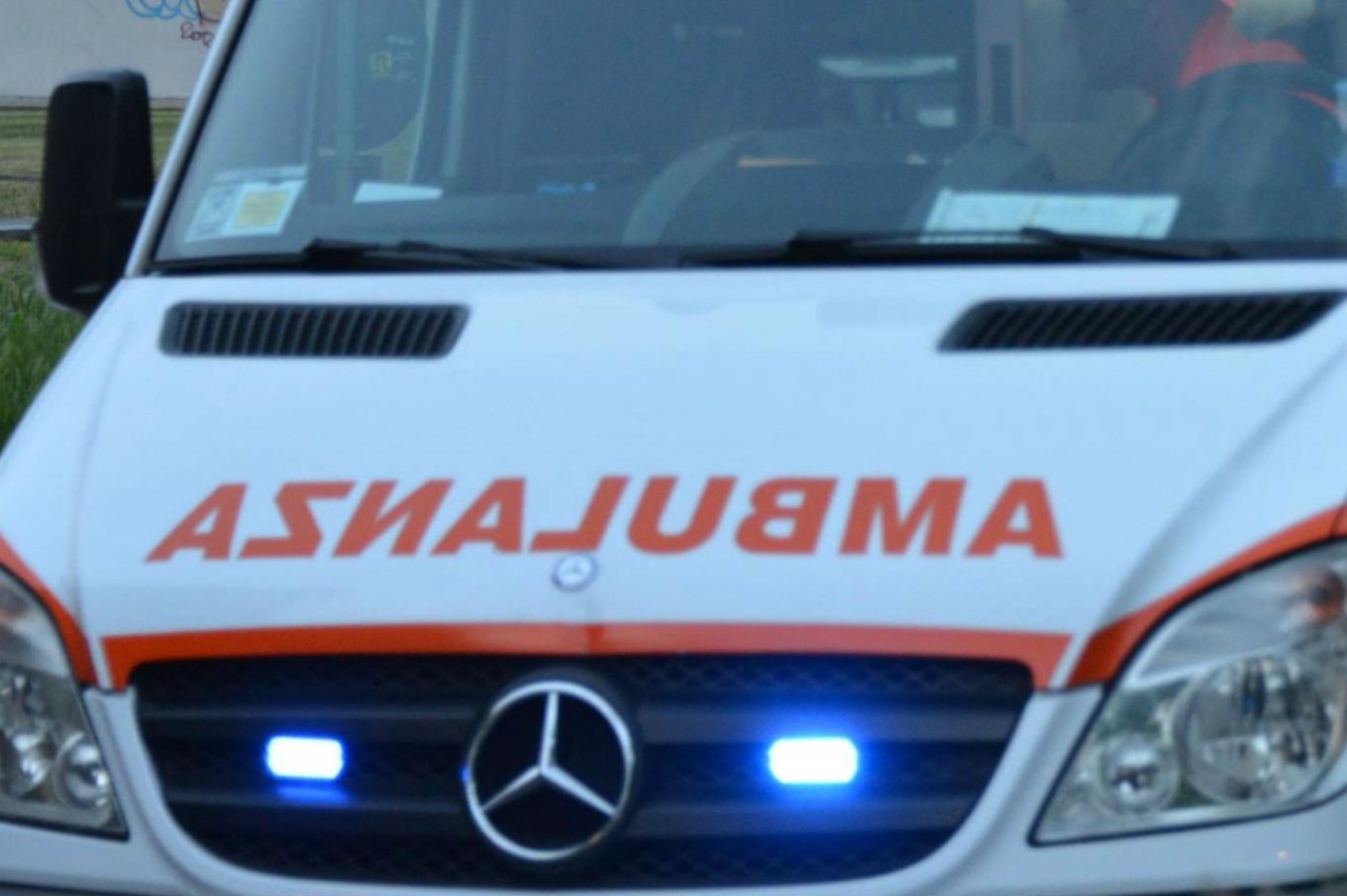 Pastore tedesco salvato dai vigili del fuoco dopo un’ora di paura